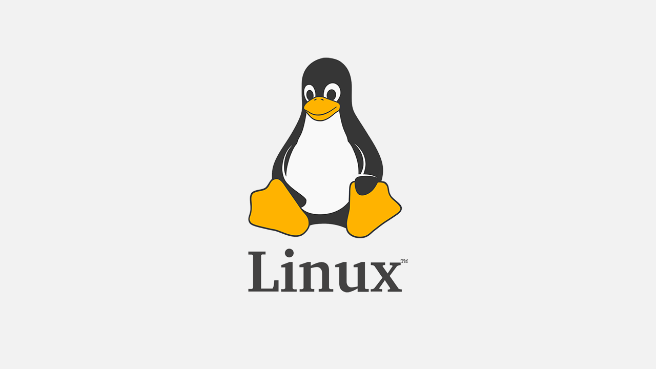 Linux: vi 편집기 사용법 및 명령어